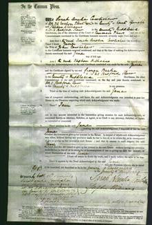 Court of Common Pleas - Jane Cowlishaw-Original Ancestry