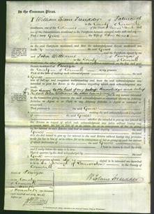 Court of Common Pleas - Grace Warne-Original Ancestry