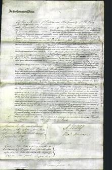 Court of Common Pleas - Hannah Dickinson-Original Ancestry