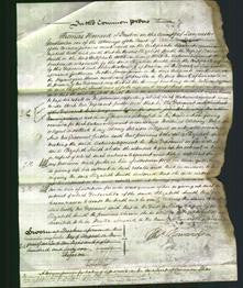 Court of Common Pleas - Elizabeth Smith-Original Ancestry