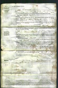 Court of Common Pleas - Elizabeth Waghorn-Original Ancestry