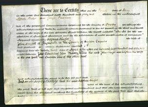 Deed by Married Women - Sophia Slight-Original Ancestry
