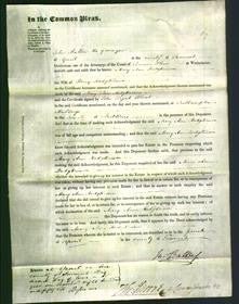 Court of Common Pleas - Mary Ann Hodgkinson-Original Ancestry