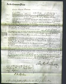 Court of Common Pleas - Margaret Meddins-Original Ancestry