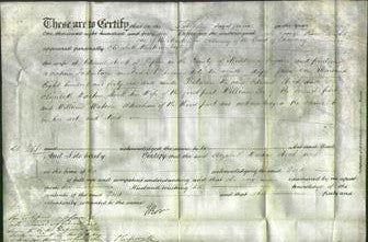 Deed by Married Women - Elizabeth Warton Stock-Original Ancestry