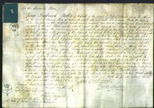 Court of Common Pleas - Phoebe Lloyd Thompson-Original Ancestry