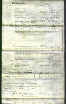 Court of Common Pleas - Margaret Mogford-Original Ancestry