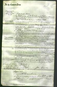 Court of Common Pleas - Sarah Powell-Original Ancestry
