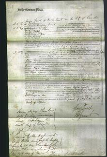 Court of Common Pleas - Eliza Lymer-Original Ancestry