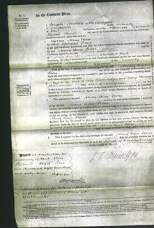 Court of Common Pleas - Mary Ann Pierce-Original Ancestry