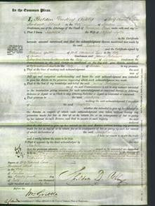 Court of Common Pleas - Isabella Tylor-Original Ancestry