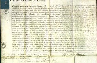 Court of Common Pleas - Maria Bendle and Mary Ann Ridd-Original Ancestry