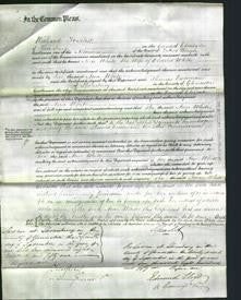 Court of Common Pleas - Ann White-Original Ancestry