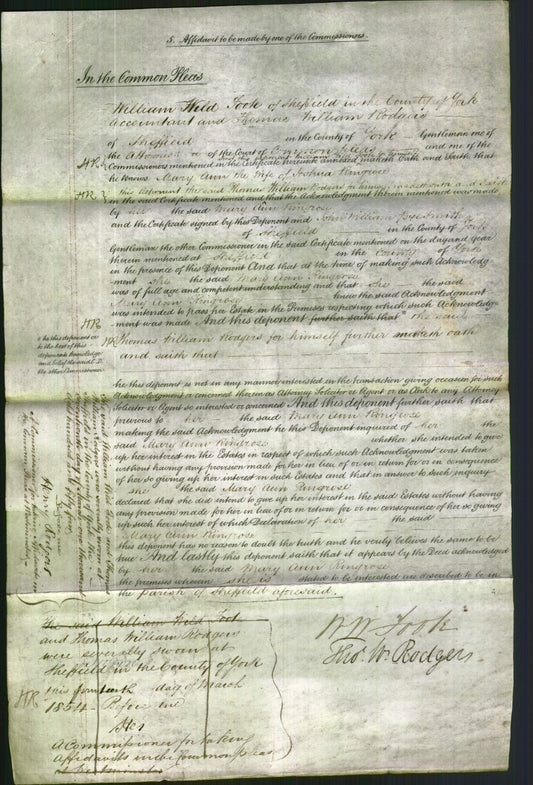 Court of Common Pleas - Mary Ann Ringrose-Original Ancestry