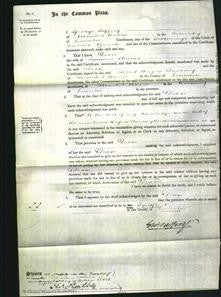 Court of Common Pleas - Deose Stevens-Original Ancestry