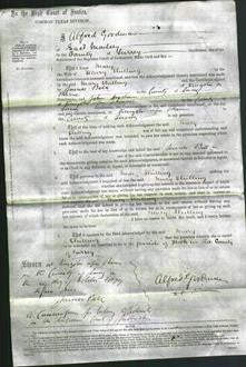 Court of Common Pleas - Mary Shilling-Original Ancestry