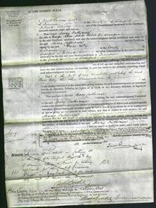 Court of Common Pleas - Mary Catherine Welch-Original Ancestry