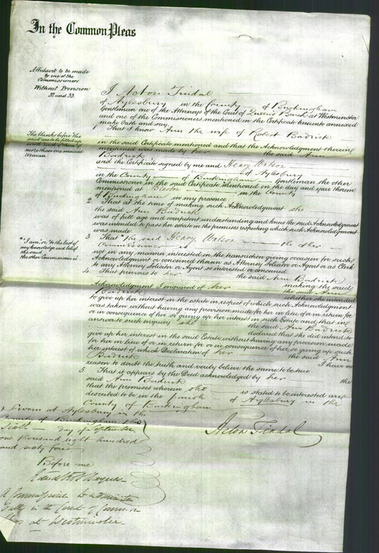 Court of Common Pleas - Ann Badrick