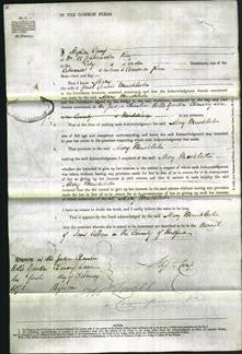 Court of Common Pleas - Mary Muckleston-Original Ancestry