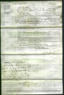 Court of Common Pleas - Mary Hughes-Original Ancestry