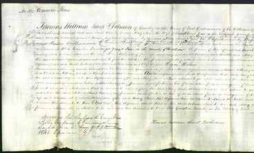 Court of Common Pleas - Mary Ann Reed-Original Ancestry