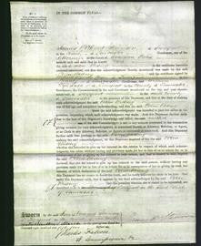 Court of Common Pleas - Ellen Riding-Original Ancestry