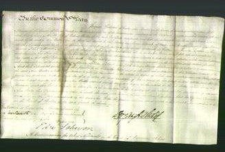 Court of Common Pleas - Ann Waller-Original Ancestry