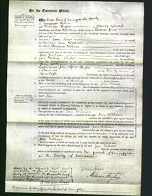 Court of Common Pleas - Jane Williams-Original Ancestry