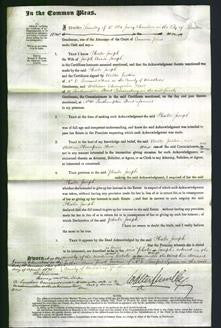 Court of Common Pleas - Phoebe Joseph-Original Ancestry