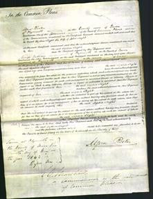 Court of Common Pleas - Sophia Slight-Original Ancestry