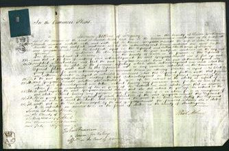 Court of Common Pleas - Georgiana Arundel-Original Ancestry