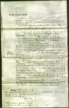Court of Common Pleas - Jane Rogerson and Mary Anne Green-Original Ancestry