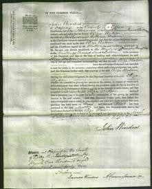 Court of Common Pleas - Eliza Watson-Original Ancestry
