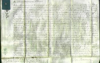 Court of Common Pleas - Lucy Copp and Hannah Pring-Original Ancestry