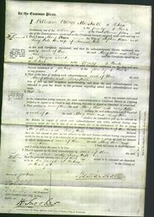 Court of Common Pleas - Mary Oliver and Lucy Hill-Original Ancestry