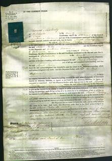 Court of Common Pleas - Sarah Pechey-Original Ancestry