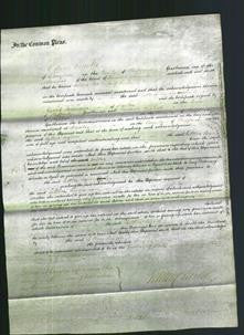 Court of Common Pleas - Lettice Wynne-Original Ancestry