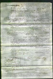 Court of Common Pleas - Eliza Pratt Tanner-Original Ancestry
