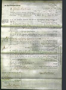 Court of Common Pleas - Lucy Harriett Puckle-Original Ancestry