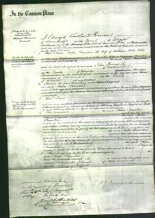 Court of Common Pleas - Helen Firmstone Collis-Original Ancestry