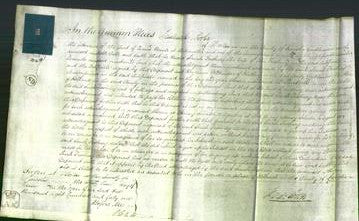 Court of Common Pleas - Sarah Freshney