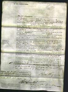 Court of Common Pleas - Elizabeth Horn-Original Ancestry