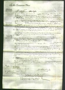 Court of Common Pleas - Ann Kirk, Eleanor Taylor and Juliana Joy-Original Ancestry