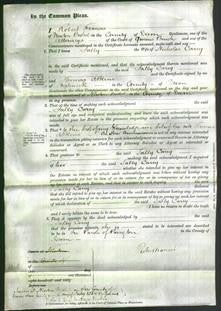 Court of Common Pleas - Salley Carey-Original Ancestry