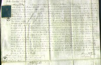 Court of Common Pleas - Mary Anne Evans-Original Ancestry