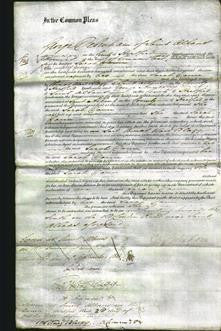 Court of Common Pleas - Sarah Donn-Original Ancestry