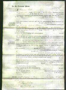 Court of Common Pleas - Isabella Pounder-Original Ancestry