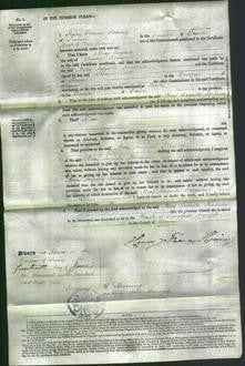 Court of Common Pleas - Mary Augusta Rousseau-Original Ancestry