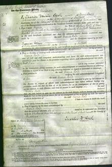 Court of Common Pleas - Maria Rolfe-Original Ancestry