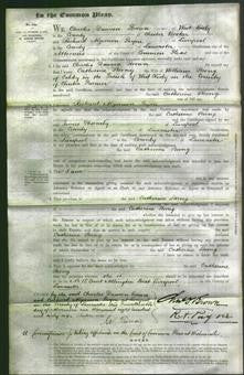 Court of Common Pleas - Catherine Strong-Original Ancestry